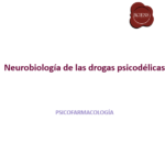 Portada_Psicodelicos_FINAL_v2 - PowerPoint 4_5_2026 11_41_04