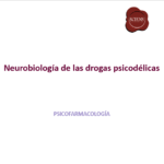 Portada_Psicodelicos_FINAL - PowerPoint 4_5_2026 11_31_07