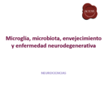 Placa_Microglia_OK - PowerPoint 22_4_2026 11_46_14