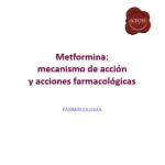 Placa_Metformina_v2 (1) - PowerPoint 17_4_2026 12_56_47