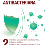 LIbro1.pdf – Google Chrome 14_11_2025 12_44_13